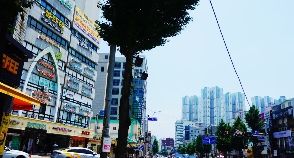 육이구낙곱새마산 이미지