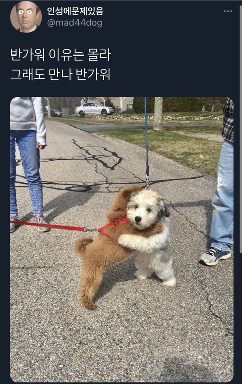 장어의힘 이미지