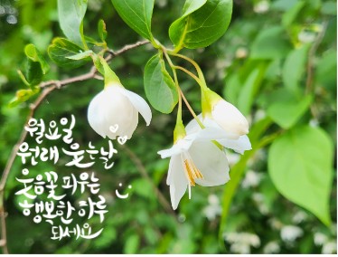 만석민박 이미지
