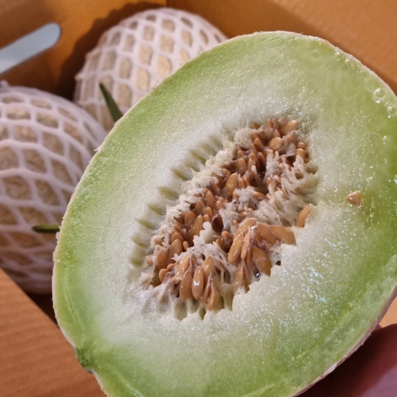 청도청과 이미지