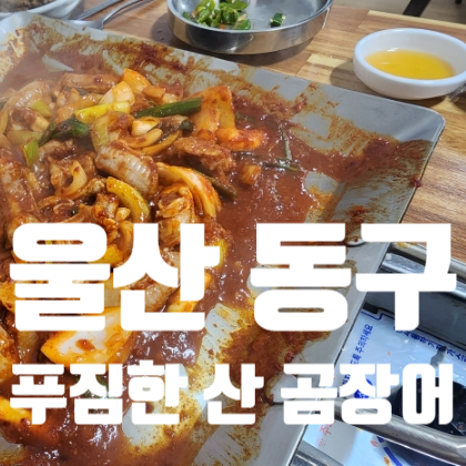 푸짐한산곰장어 이미지