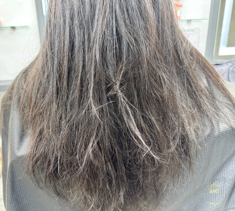 바오헤어(Bao hair) 이미지