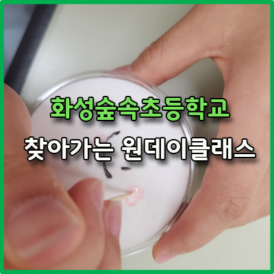 숲커피클래스 이미지