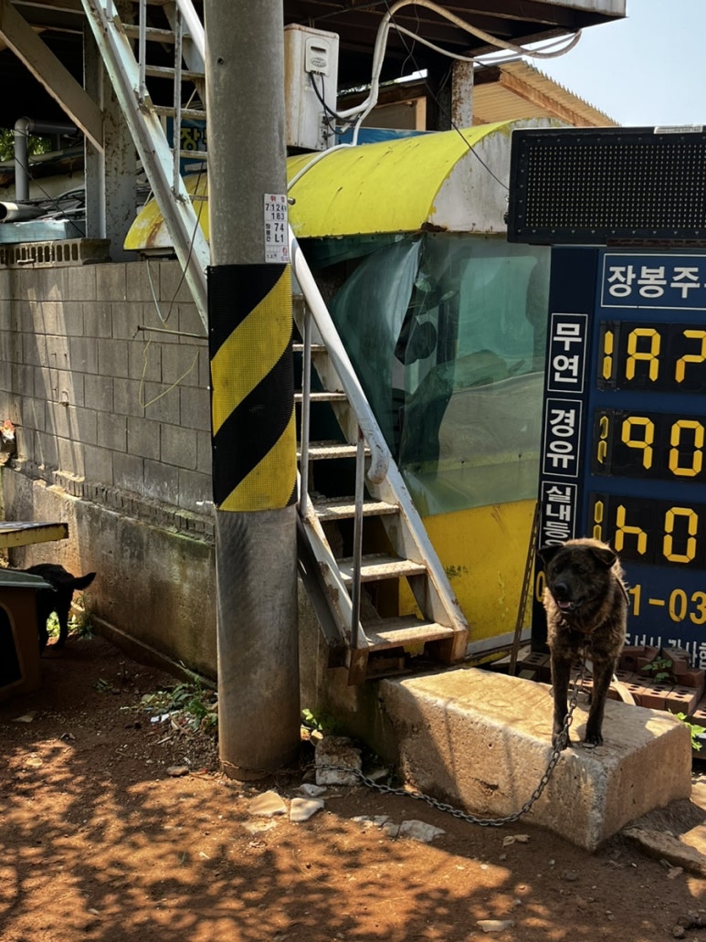 한들주유소 이미지