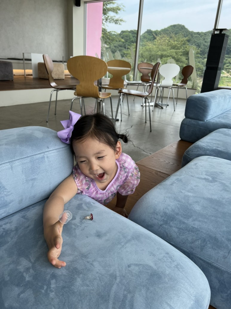 소풍여행사주 이미지