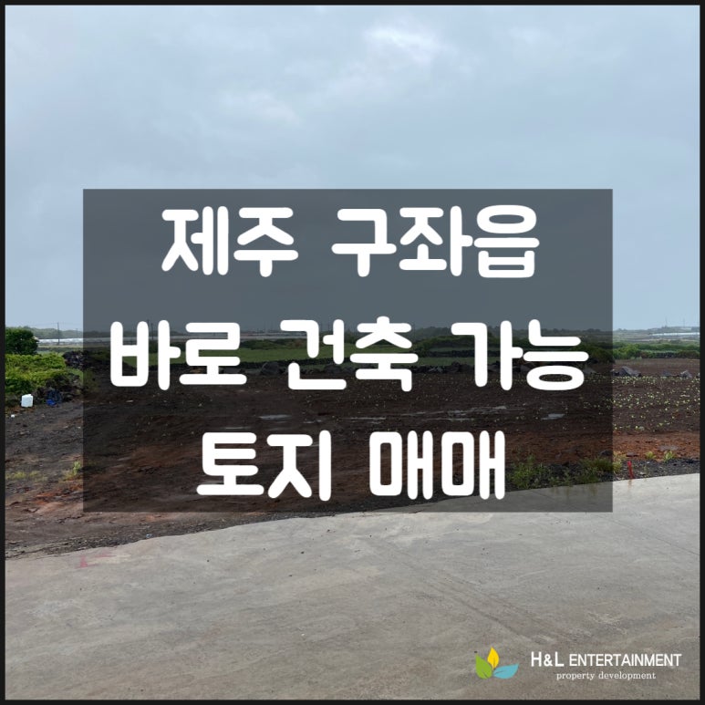 에이치앤엘 이미지