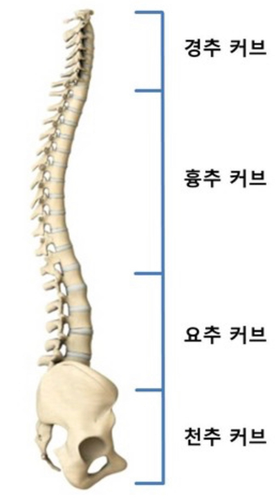 모던강릉 이미지
