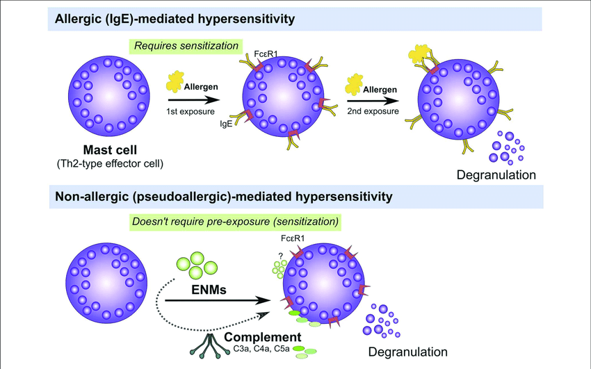 소염진통제의 반응 분류 알레르기 반응 (allergic)과 가성알레르기 반응 (pseudoallergic) 네이버 블로그
