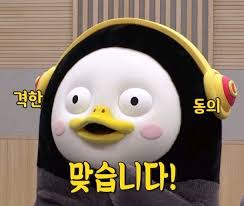 아이와이어 이미지