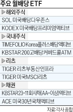 이엔리츠 이미지