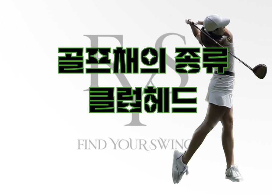 와이에스투어 이미지