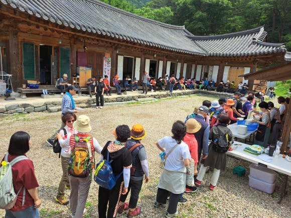 나눔국수국수 이미지