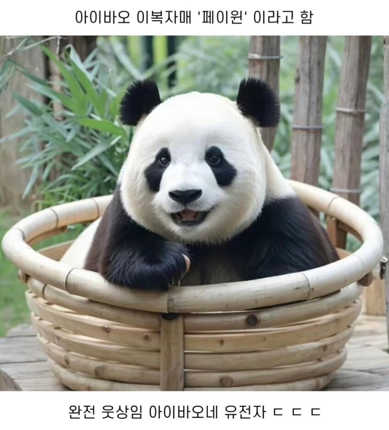 몽쥬이에 이미지