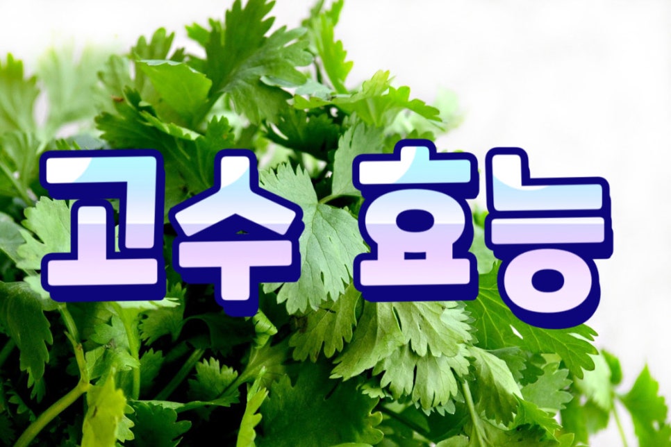 고*수 이미지