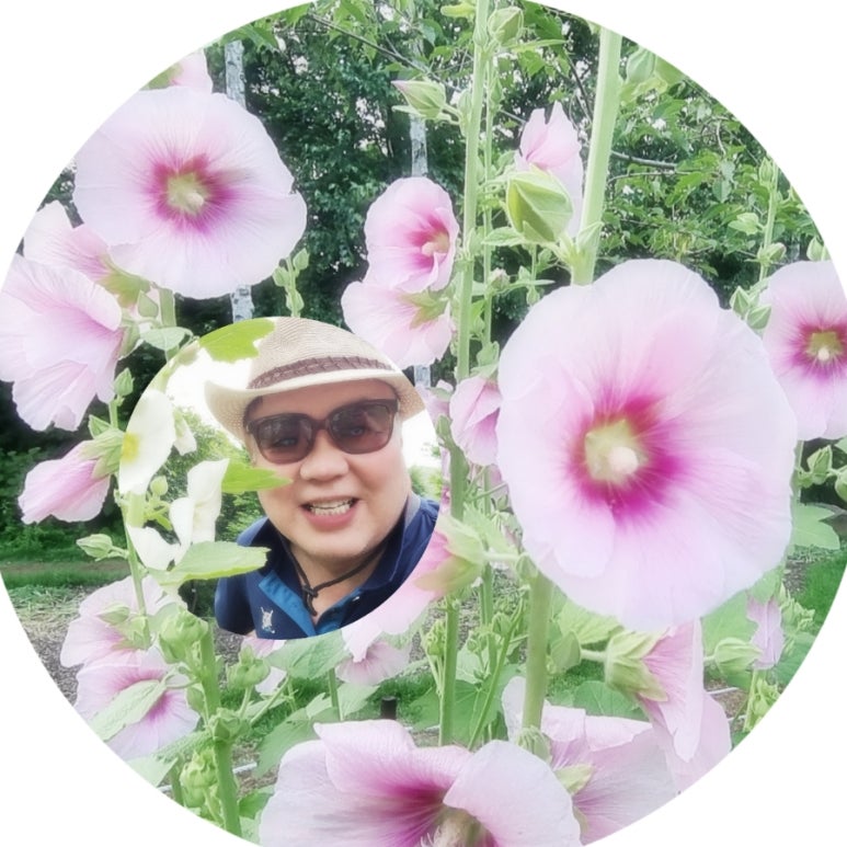 영상화원 이미지