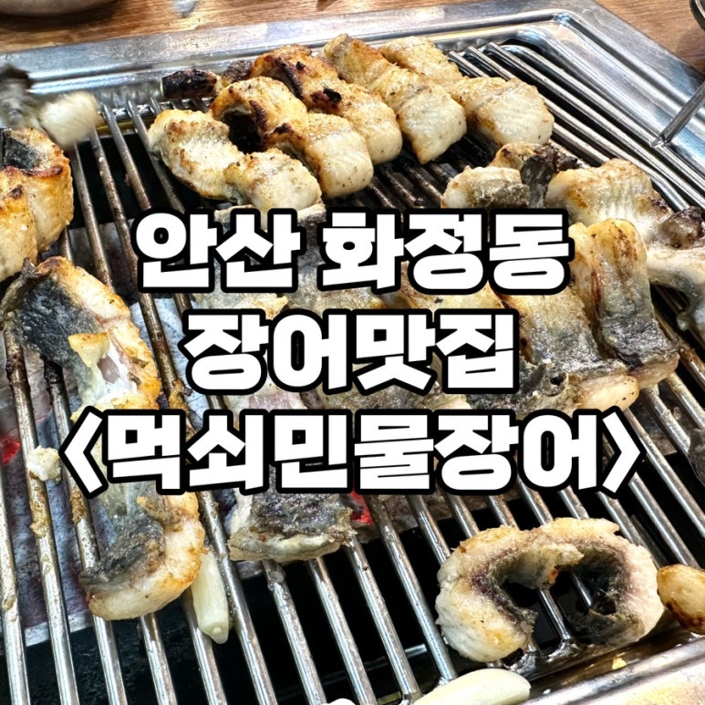 먹쇠민물장어 이미지