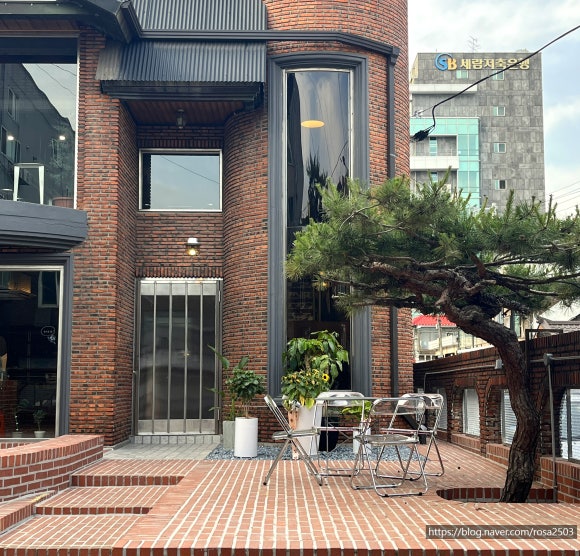 까사디차차 이미지