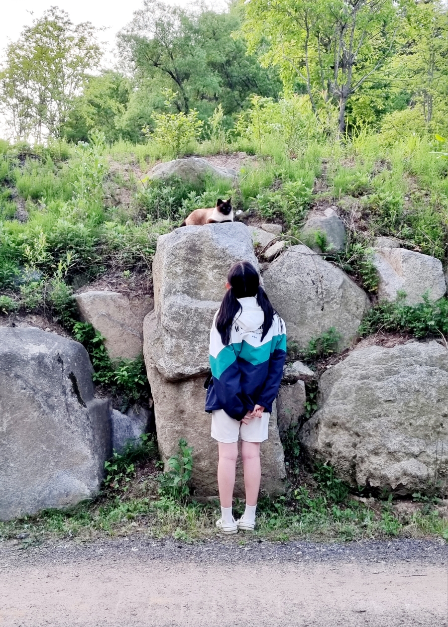 평창태기산캠핑장펜션 이미지