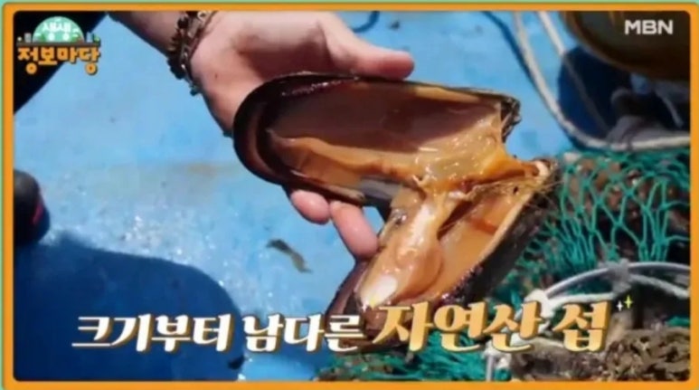 섭 이미지