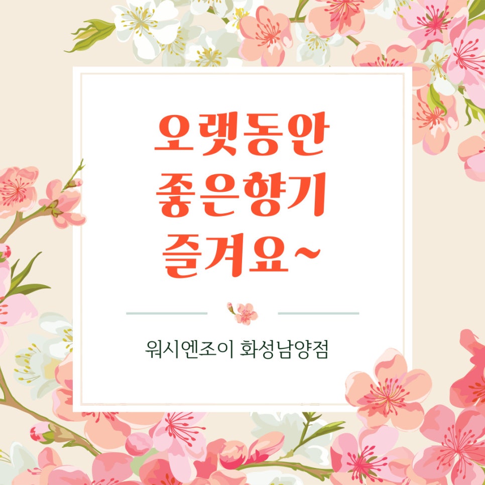 코인워시화성 이미지