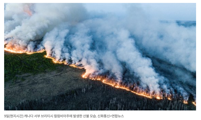 대영통신(주) 이미지