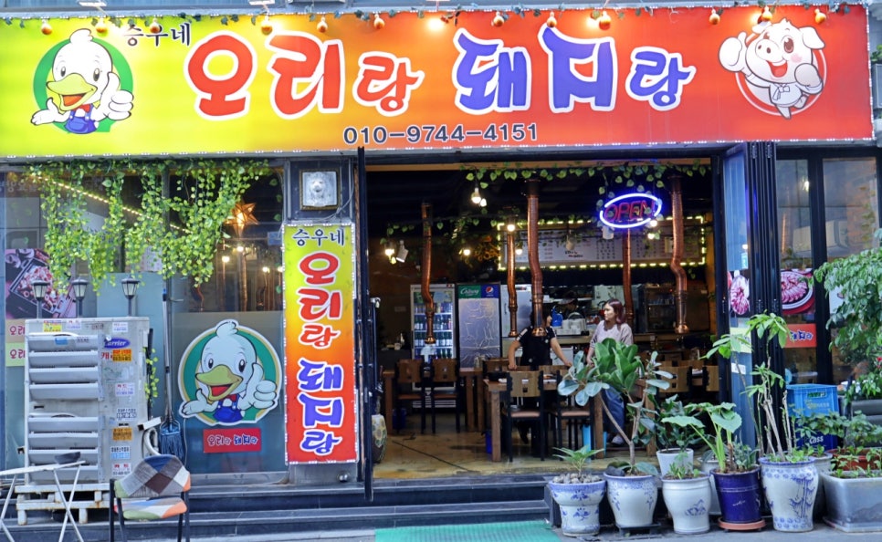 오리랑돼지랑 이미지