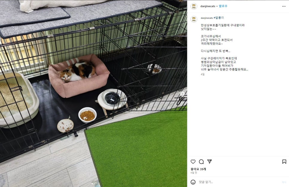 텔링쉼터 이미지