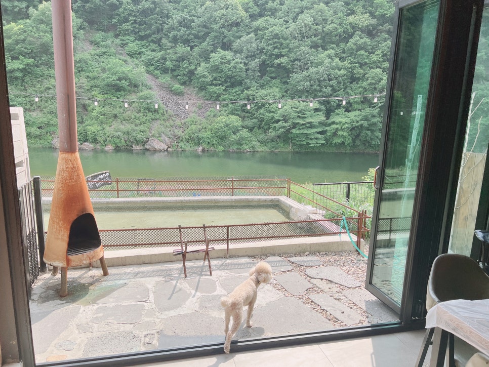 충북 보은 독채 애견펜션, 수영장·운동장 완비 개버랜드 — 사진 12