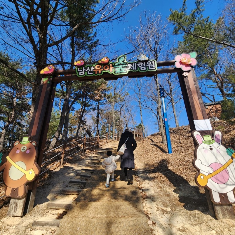 남산 유아숲체험원 이미지