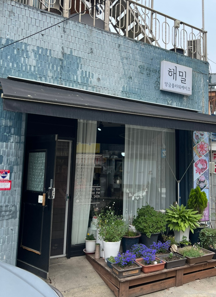 해밀플라워 이미지