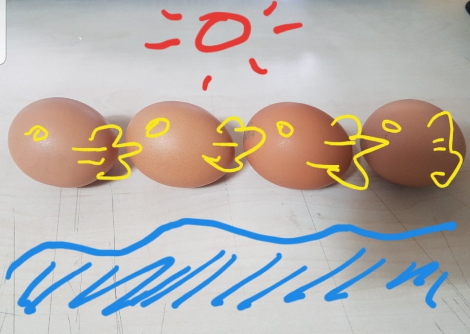 유달식품 이미지