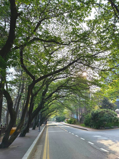 선창회포차 이미지