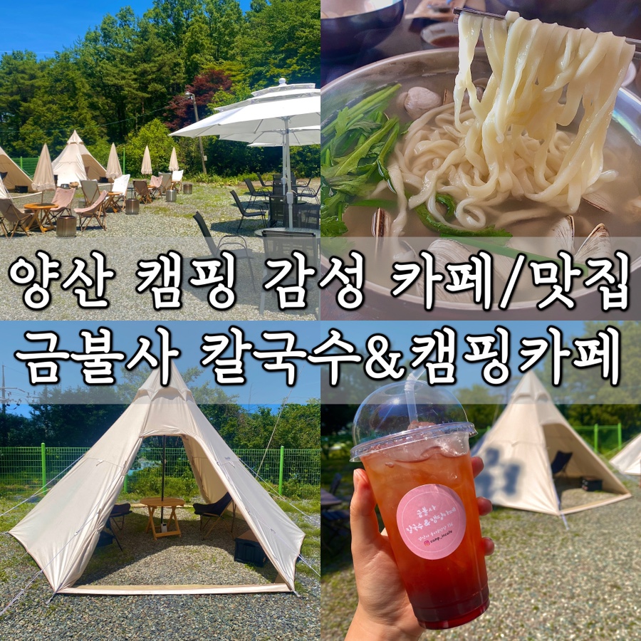 금불사 칼국수 이미지