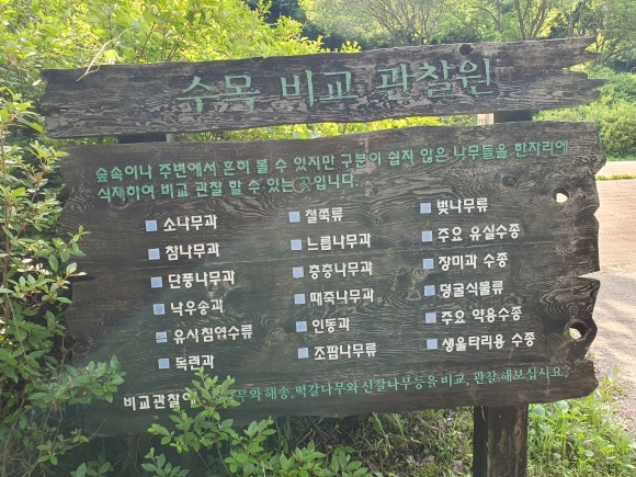 수목 비교 관찰원 이미지