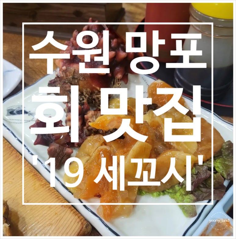 19세꼬시 사진 7