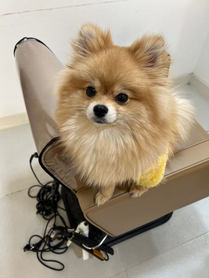 옥희미용실 이미지