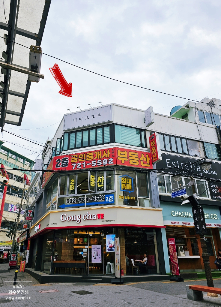 비비브로우 이미지