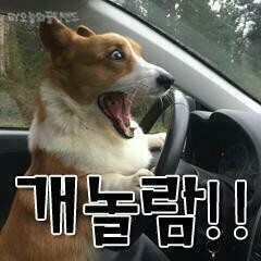 돈벼락마트 이미지