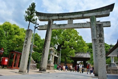 (주)정직한여행 이미지