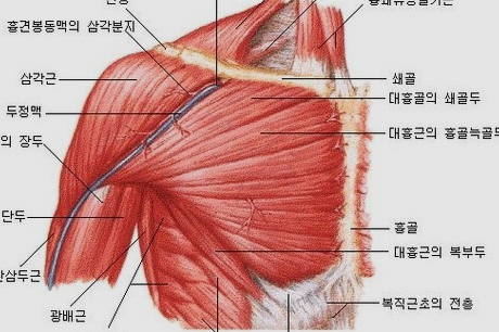 딥스스튜디오 이미지