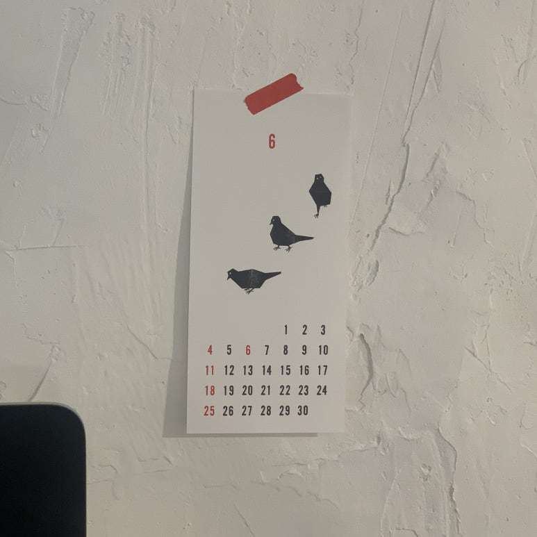 코스모아트 이미지