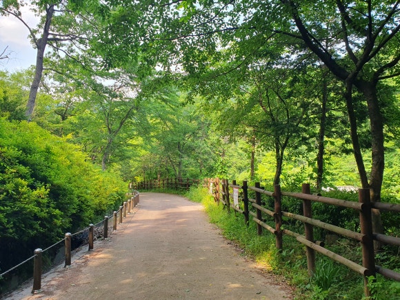 수목 비교 관찰원 이미지
