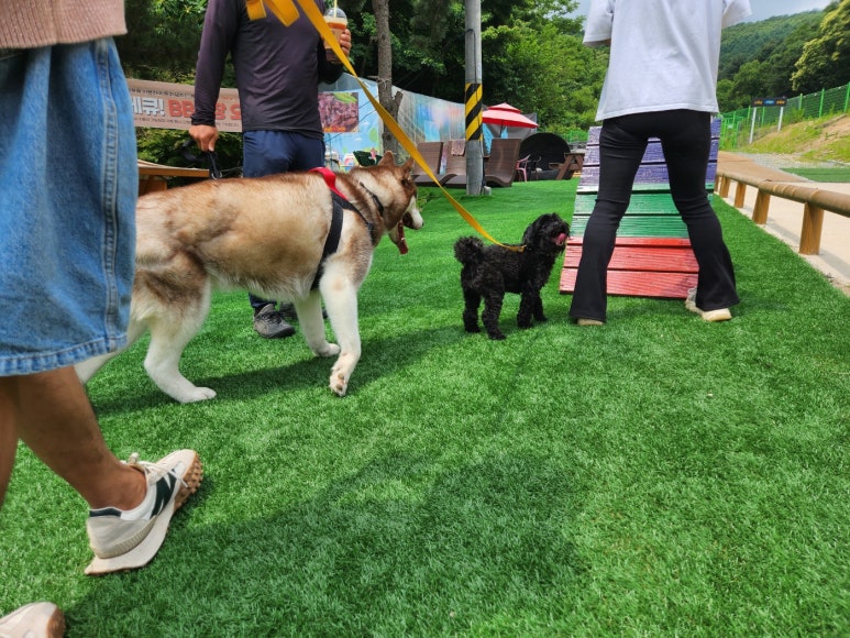 파크랜드상주 이미지