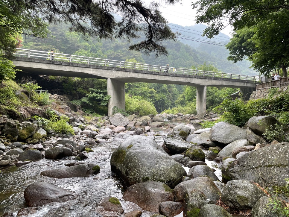 불루펜션&캠핑 이미지