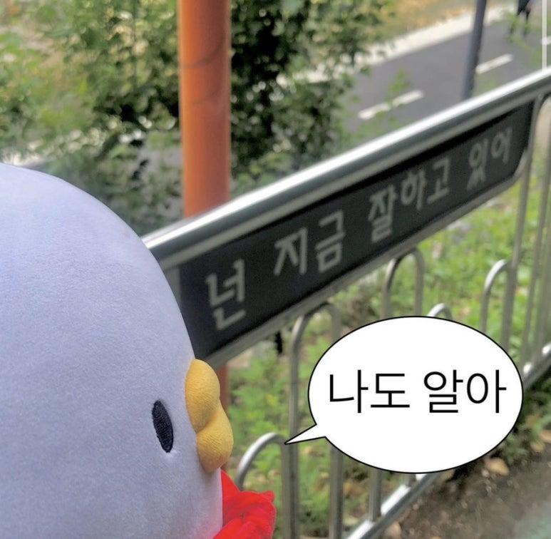 참치는못참치 이미지