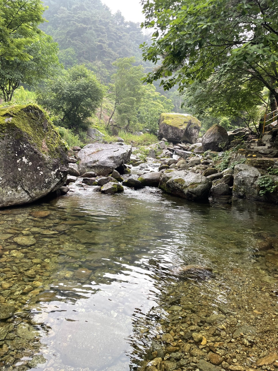 불루펜션&캠핑 이미지