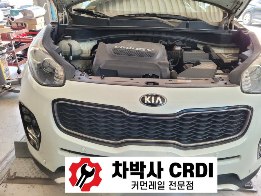 애니카랜드대저점 이미지