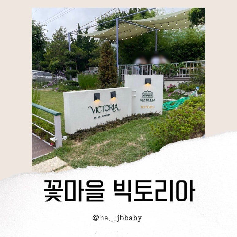 유명꽃마을 이미지