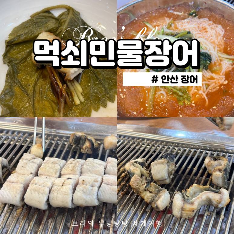 먹쇠민물장어 이미지