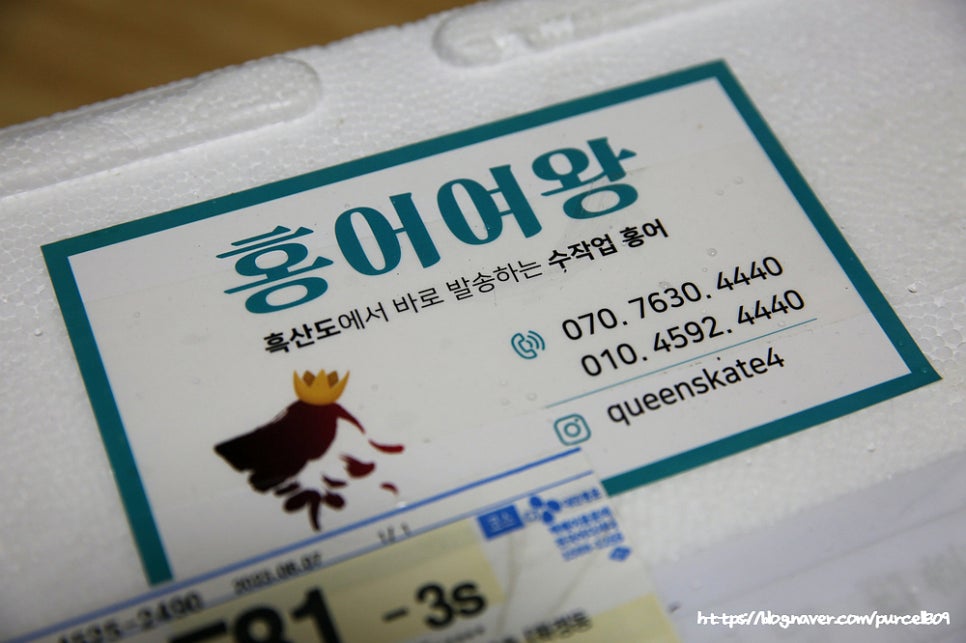 홍어여왕 이미지